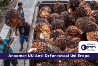 Ancaman UU Anti Deforestasi Uni Eropa - The EdGe