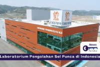 Laboratorium Pengolahan Sel Punca di Indonesia - The EdGe