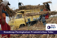 Roadmap Peningkatan Produktivitas Gula - The EdGe
