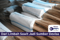 Dari Limbah Sawit Jadi Sumber Devisa - The EdGe