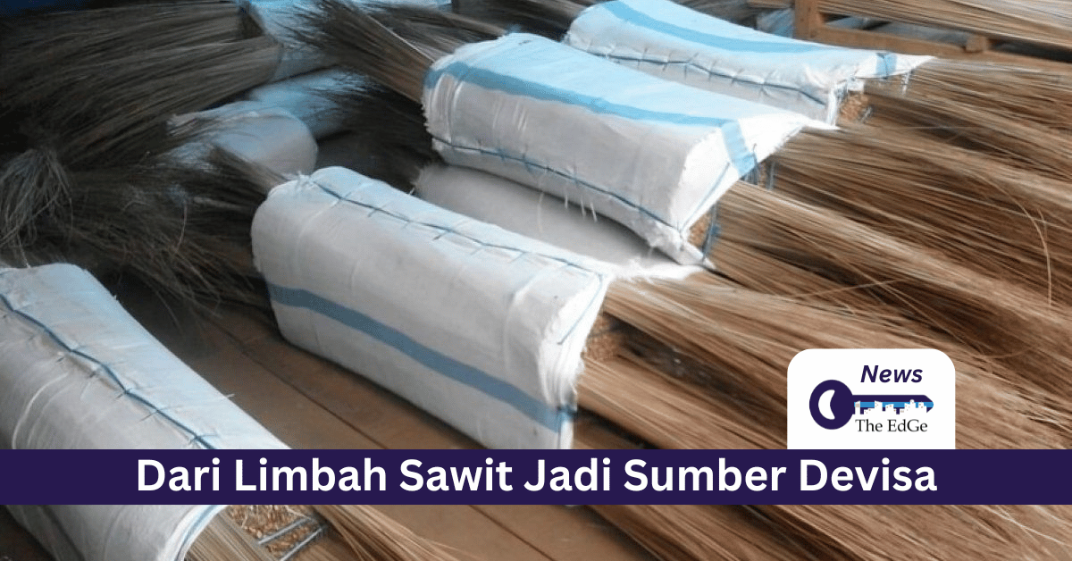 Dari Limbah Sawit Jadi Sumber Devisa - The EdGe